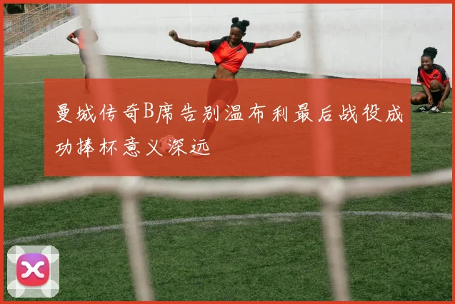 曼城传奇B席告别温布利最后战役成功捧杯意义深远